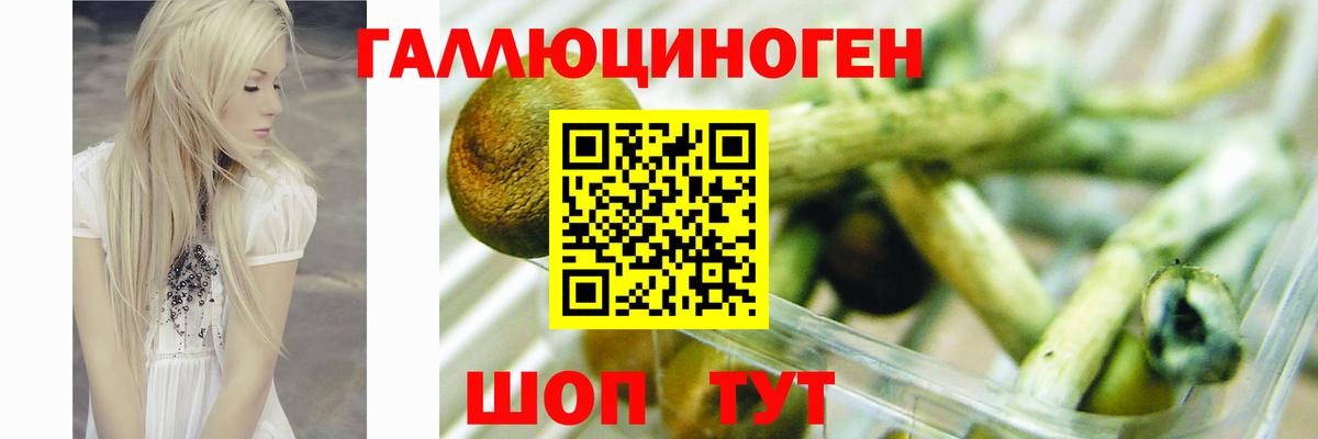 Псилоцибиновые грибы Psilocybe  Вход с VPN  Мытищи 